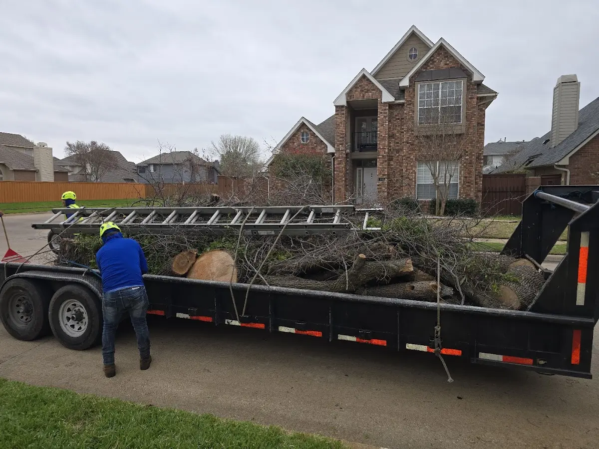 Expert Tree Fertilization with proper safety equipment in Duncombe